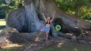 375 year old ceiba tree!