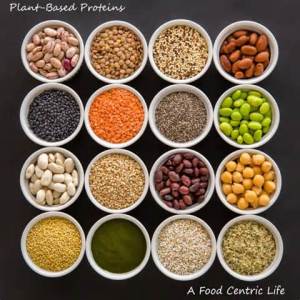 plantprotein