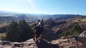 Hiking in Matthew Winters Park 